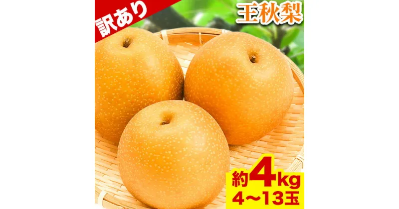 【ふるさと納税】【訳あり】王秋梨 約4kg (4~13玉) 高間商店《11月上旬-1月上旬頃出荷》 鳥取県 八頭町 梨 なし ナシ 果物 フルーツ ご家庭用　先行予約　ふるさと納税　送料無料　甘い　果実　果汁　デザート　王秋梨　冷蔵便