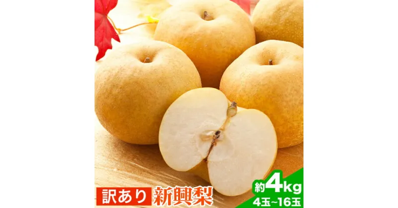 【ふるさと納税】訳あり 新興梨 約4kg (4~16玉) 高間商店《10月中旬-12月上旬頃出荷》鳥取県 八頭町 梨 なし ナシ 果物 フルーツ 厳選 訳あり 送料無料 新興梨 甘い 果実 果汁 高間商店 冷蔵便