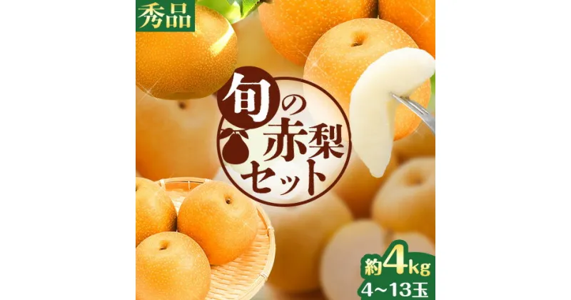 【ふるさと納税】旬 の 赤梨 セット 約4kg (4~13玉) 《8月下旬-1月上旬頃出荷》 鳥取県 八頭町 梨 なし ナシ 果物 フルーツ 秀品 厳選　冷蔵　ふるさと納税　高間商店　幸水　豊水　秋栄梨　秋甘泉　新甘泉　新高梨　あたご梨　王秋梨　先行予約　フルーツセット