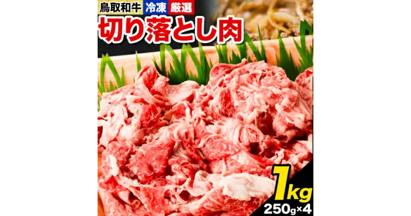 【ふるさと納税】鳥取和牛 切り落とし肉セット 1kg 250g×4パック 株式会社 やまのおかげ屋《90日以内に出荷予定(土日祝除く)》鳥取県 八頭町 和牛 牛肉 牛 しゃぶしゃぶ すき焼き 送料無料