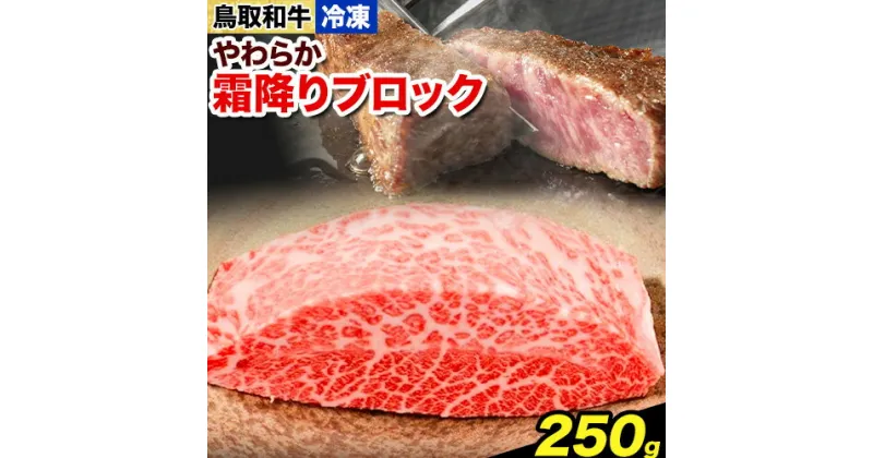 【ふるさと納税】鳥取和牛 やわらか霜降りブロック 250g やまのおかげ屋《90日以内に出荷予定(土日祝除く)》鳥取県 八頭町 和牛 ブロック肉 ステーキ 送料無料 牛肉 肉 牛