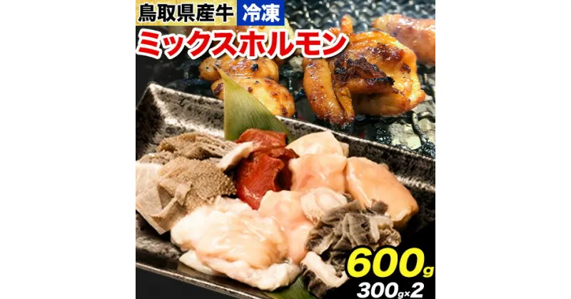 【ふるさと納税】鳥取県産牛 ミックスホルモン 600g やまのおかげ屋《90日以内に出荷予定(土日祝除く)》鳥取県 八頭町 和牛 ホルモン 小腸 大腸 ハチノス ハート センマイ ミックス