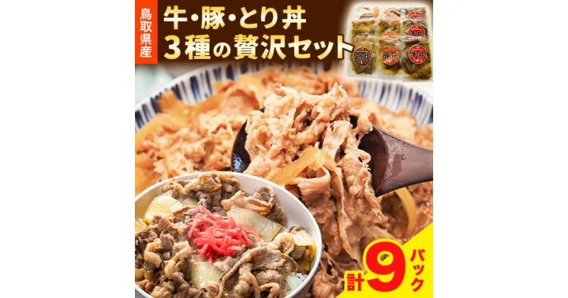 【ふるさと納税】牛丼 豚丼 とり丼 鳥取県産牛・豚・とり丼贅沢セット 《90日以内に出荷予定(土日祝除く)》 鳥取県畜産農業協同組合 鳥取県 牛肉 豚肉 鶏肉 鶏丼 セット 送料無料