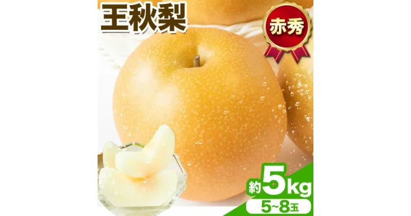 【ふるさと納税】【先行予約】王秋梨 赤秀 約5kg (5~8玉) JA鳥取いなば《11月上旬-11月末頃出荷》鳥取県 八頭町 梨 なし ナシ 果物 フルーツ ふるさと納税 送料無料 王秋梨 果実 果汁 常温便