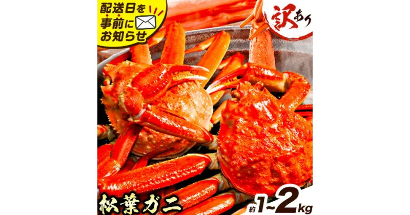 【ふるさと納税】訳あり カニ 松葉ガニ 選べる 約1kg 2～3枚 or 約2kg 2～5枚《2024年11月中旬-2025年3月中旬に出荷予定》鳥取県 八頭町 送料無料 蟹 かに 姿 鍋 ズワイガニ 松葉ガニ ズワイ蟹 ボイル 冷蔵便 松葉蟹 海鮮 魚介