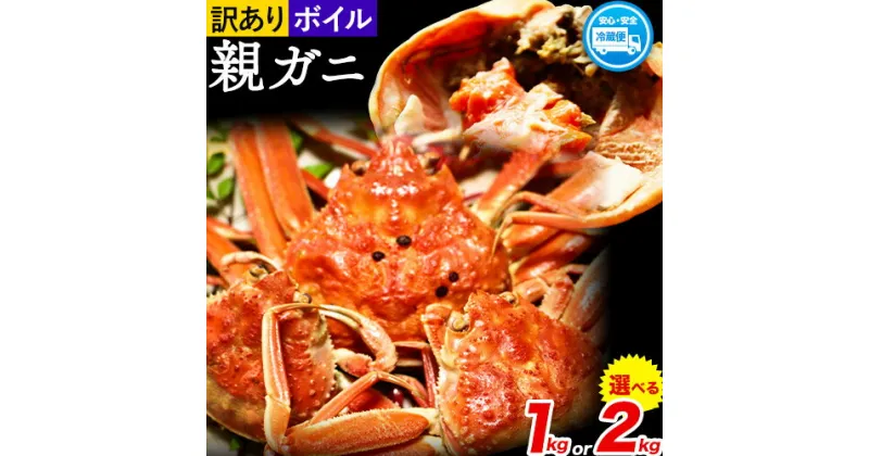 【ふるさと納税】 ボイル 訳あり 親ガニ カニ 選べる 1kg 2kg さんチョク《2024年11月中旬-2025年1月上旬頃出荷》鳥取県 八頭町 送料無料 蟹 かに 鍋 ズワイガニ ズワイ蟹 ボイル 冷蔵 セコガニ