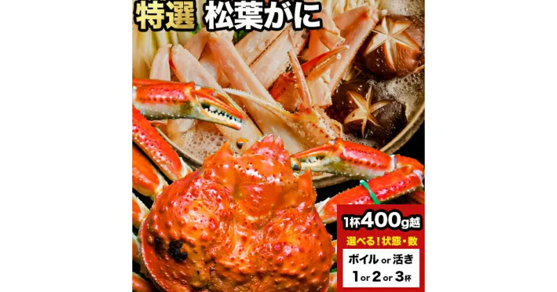 【ふるさと納税】選べる カニ 特選 松葉ガニ 計400g越え ボイルor活き 1杯 2杯 3杯 タグ付き SOO合同株式会社《11月上旬-3月中旬頃出荷》鳥取県 八頭町 送料無料 蟹 かに 姿 鍋 ズワイガニ ズワイ蟹 ボイル 松葉ガニ 冷蔵便