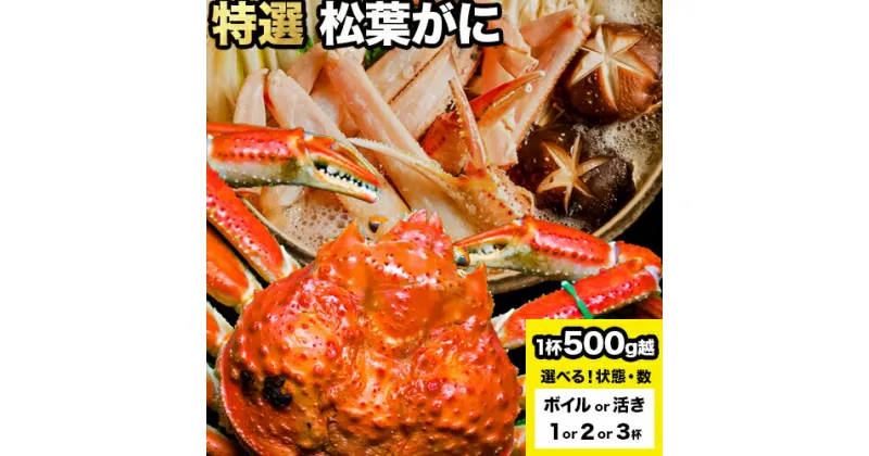 【ふるさと納税】選べる カニ 特選 松葉ガニ 計500g越え ボイルor活き 1杯 2杯 3杯 タグ付き《11月上旬-3月中旬頃出荷》鳥取県 八頭町 送料無料 蟹 かに 姿 鍋 ズワイガニ ズワイ蟹 ボイル 松葉ガニ 冷蔵便