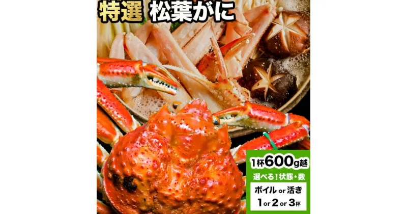 【ふるさと納税】選べる カニ 特選 松葉ガニ 計600g越え ボイルor活き 1杯 2杯 3杯 タグ付き《11月上旬-3月中旬頃出荷》鳥取県 八頭町 送料無料 蟹 かに 姿 鍋 ズワイガニ ズワイ蟹 ボイル 松葉ガニ 冷蔵便