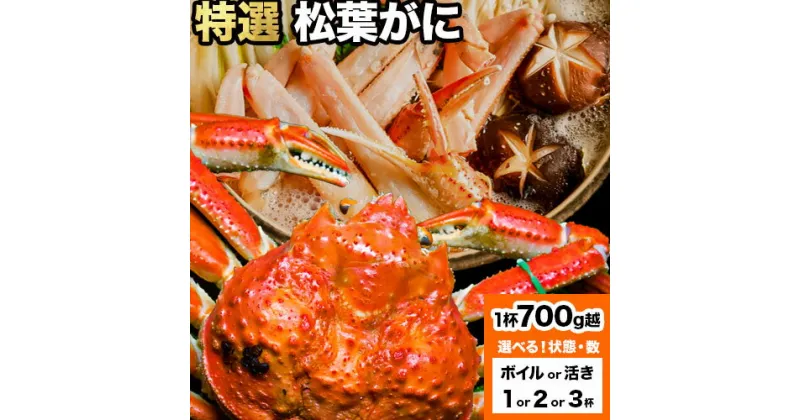 【ふるさと納税】選べる カニ 特選 松葉ガニ 計700g越え ボイルor活き 1杯 2杯 3杯 タグ付き《11月上旬-3月中旬頃出荷》鳥取県 八頭町 送料無料 蟹 かに 姿 鍋 ズワイガニ ズワイ蟹 ボイル 松葉ガニ 冷蔵便