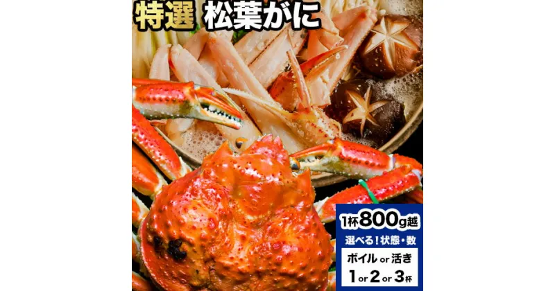 【ふるさと納税】選べる カニ 特選 松葉ガニ 計800g越え ボイルor活き 1杯 2杯 3杯 タグ付き《11月上旬-3月中旬頃出荷》鳥取県 八頭町 送料無料 蟹 かに 姿 鍋 ズワイガニ ズワイ蟹 ボイル 松葉ガニ 冷蔵便