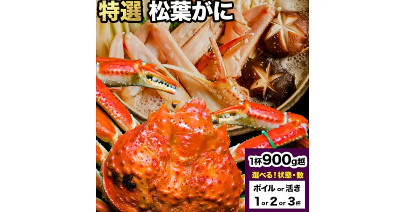 【ふるさと納税】選べる カニ 特選 松葉ガニ 計900g越え ボイルor活き 1杯 2杯 3杯 タグ付き《11月上旬-3月中旬頃出荷》鳥取県 八頭町 送料無料 蟹 かに 姿 鍋 ズワイガニ ズワイ蟹 ボイル 松葉ガニ 冷蔵便