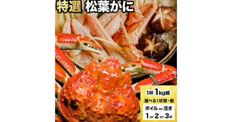 【ふるさと納税】選べる カニ 特選 松葉ガニ 計1kg越え ボイルor活き 1杯 2杯 3杯 タグ付き《11月上旬-3月中旬頃出荷》鳥取県 八頭町 送料無料 蟹 かに 姿 鍋 ズワイガニ ズワイ蟹 ボイル 松葉ガニ 冷蔵便