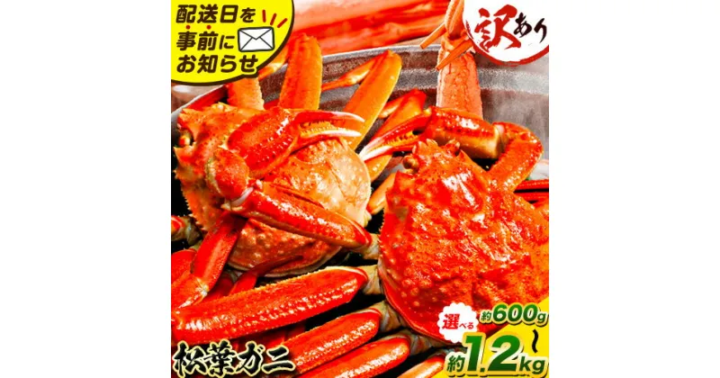 【ふるさと納税】訳あり カニ 松葉ガニ 足1本なし 600g 1杯分 1.2kg 2杯分《2024年11月上旬-2025年3月中旬頃出荷》鳥取県 八頭町 送料無料 蟹 かに 姿 鍋 ズワイガニ 松葉ガニ ズワイ蟹 ボイル 冷蔵便 松葉蟹 海鮮 魚介 2人前