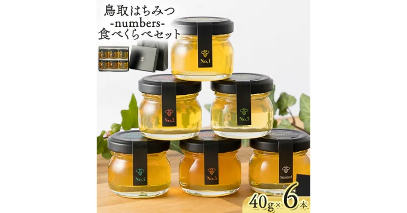 【ふるさと納税】蜂蜜 鳥取はちみつ -numbers- 食べくらべセット 40g×6本《30日以内に出荷予定(土日祝除く)》大谷養蜂場 鳥取県 八頭町 非加熱 無添加 完熟 安全 健康 TOTTORI HACHIMITSU