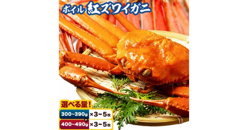 【ふるさと納税】ボイル紅ズワイガニ 選べる 内容量 300～390g 400～490g 枚数 3枚 5枚さんチョク《2024年9月中旬-2025年7月中旬頃出荷》鳥取県 八頭町 蟹 かに カニ 鍋 紅ズワイガニ ズワイ蟹 ボイル 送料無料【配送不可地域あり】