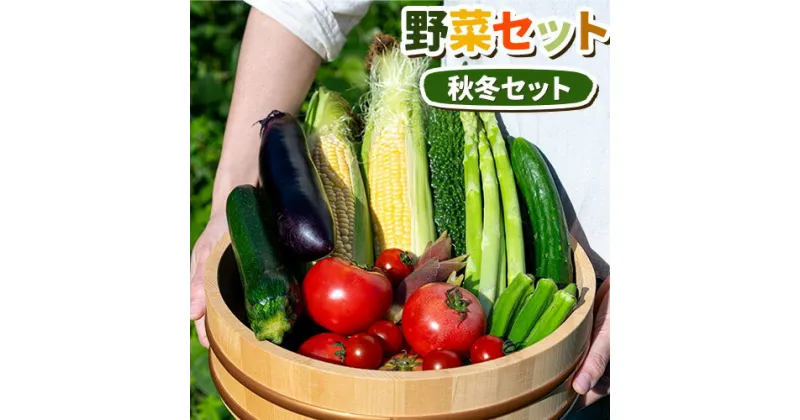 【ふるさと納税】 野菜セット 冬 八頭船岡農場《2024年12月上旬-2025年3月上旬に発送予定(土日祝除く)》鳥取県 八頭町 サツマイモ ニンジン 白カブ 赤カブ 大根 白ネギ