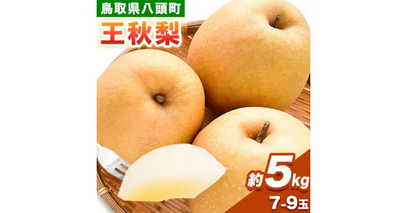 【ふるさと納税】 梨 王秋梨 約5kg (7～9玉入り) 旬菜まるや 《11月中旬～1月中旬頃出荷》 鳥取県 八頭町 送料無料 なし 果物 フルーツ お取り寄せ 5kg