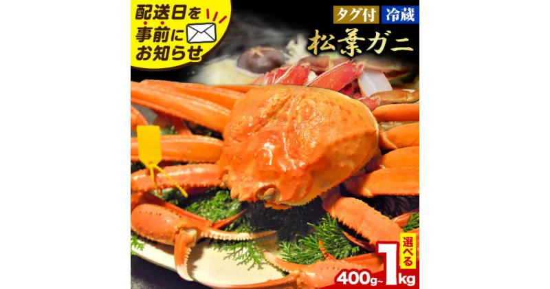 【ふるさと納税】カニ 松葉ガニ タグ付き 贈答用 選べる 400g~1kg (1～2杯入り) 《2024年11月中旬-2025年3月中旬出荷予定》鳥取県 八頭町 送料無料 蟹 かに 海鮮 松葉ガニ 贈答 タグ付 冷蔵