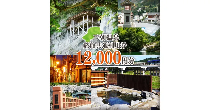 【ふるさと納税】三朝温泉旅館共通利用券D（12000円分） | 券 金券 人気 おすすめ 送料無料