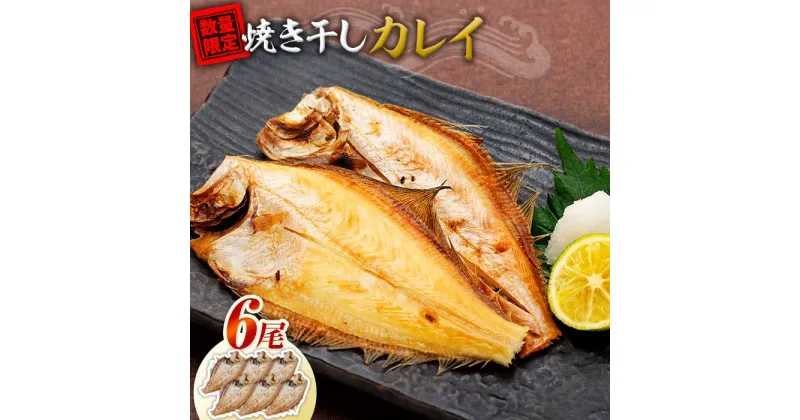 【ふるさと納税】数量限定 焼いときました！（レンチン）食べやすく 処理済み 焼き 干しカレイ 6尾 | 魚 お魚 さかな 食品 人気 おすすめ