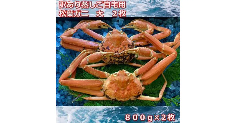 【ふるさと納税】【先行予約】訳あり蒸しご自宅用　松葉ガニ　大　2枚　1枚800～940g前後MK4 | 蟹 魚介類 水産 食品 人気 おすすめ 送料無料