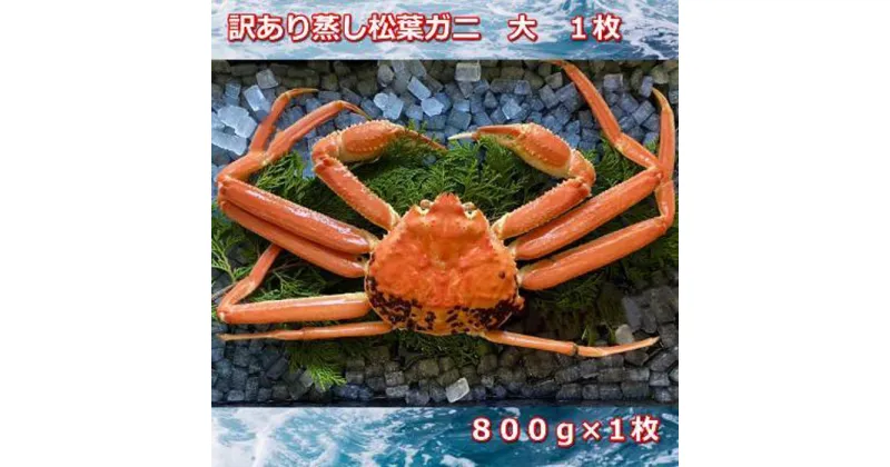 【ふるさと納税】【先行予約】訳あり蒸しご自宅用松葉ガニ　大　1枚　800～940g前後MK12 | 蟹 魚介類 水産 食品 人気 おすすめ 送料無料