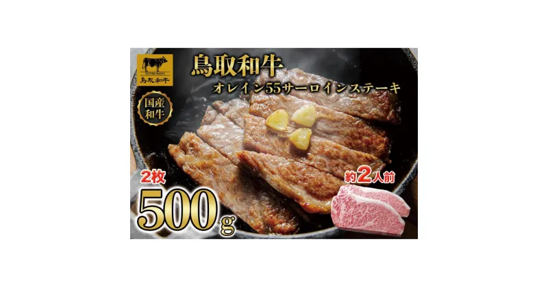 【ふるさと納税】鳥取和牛オレイン55　サーロインステーキ　2枚（500g）1288 | 肉 お肉 にく 食品 鳥取県産 人気 おすすめ 送料無料 ギフト