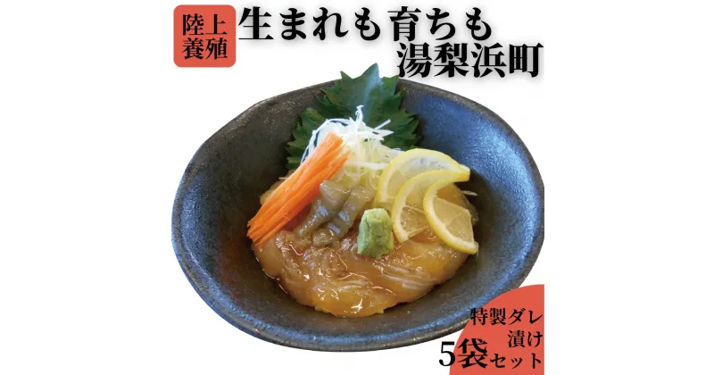 【ふるさと納税】湯梨浜ひらめの元気漬丼5袋セット