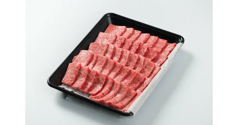 【ふるさと納税】鳥取和牛オレイン55カルビ〔焼肉用〕500g