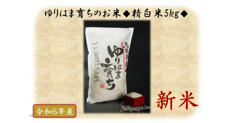 【ふるさと納税】ゆりはま育ちのお米◇精白米5kg◇令和6年産