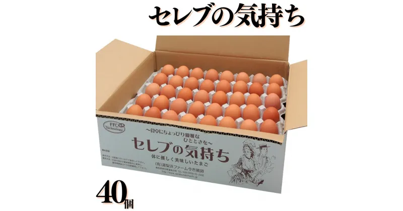 【ふるさと納税】セレブの気持ち40個