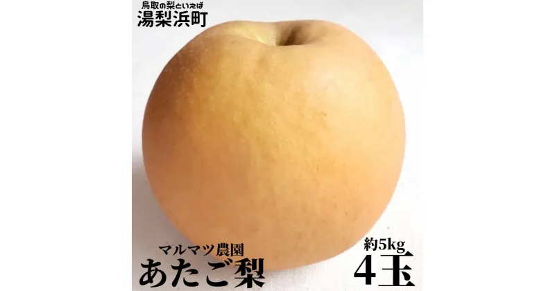 【ふるさと納税】マルマツ農園 あたご梨4玉