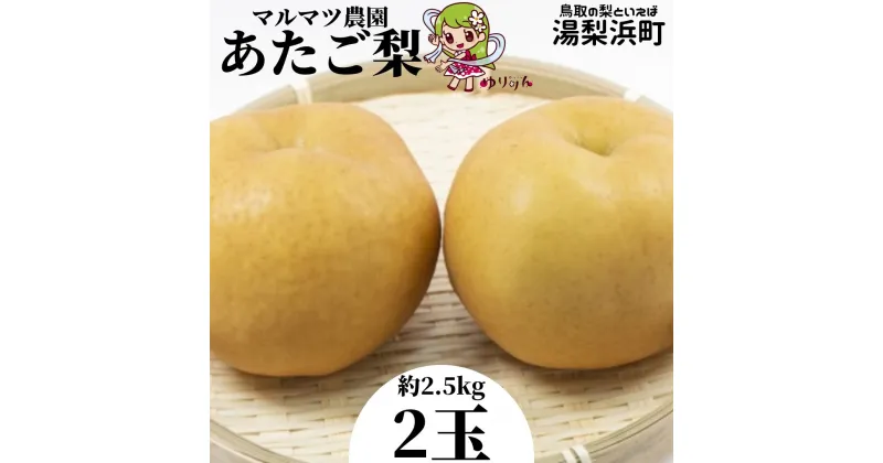 【ふるさと納税】マルマツ農園 あたご梨2玉