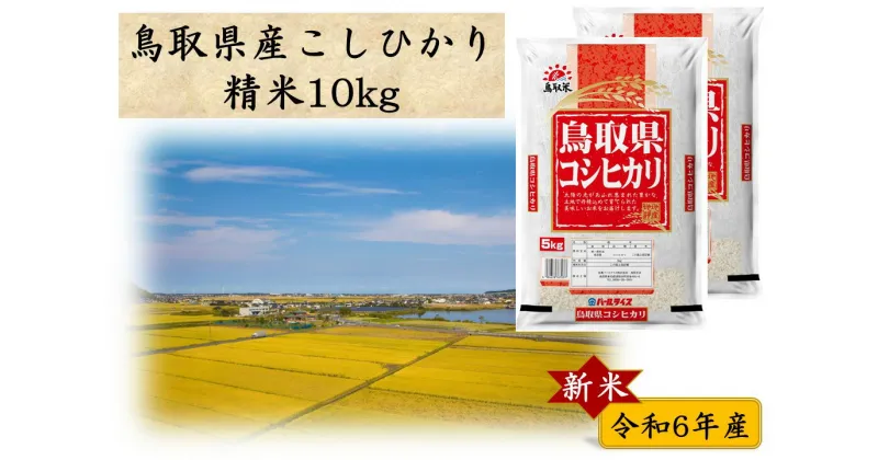 【ふるさと納税】鳥取県産こしひかり◇精米10kg◇令和6年産