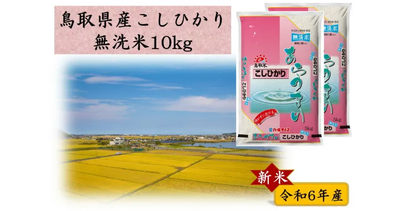 【ふるさと納税】鳥取県産こしひかり◇無洗米10kg◇令和6年産