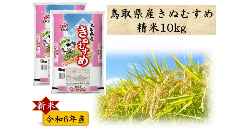 【ふるさと納税】鳥取県産きぬむすめ◇精米10kg◇令和6年産