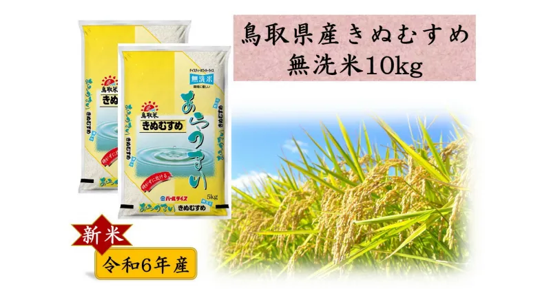 【ふるさと納税】鳥取県産きぬむすめ◇無洗米10kg◇令和6年産