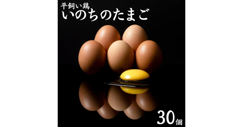 【ふるさと納税】平飼い鶏の『いのちのたまご』30個