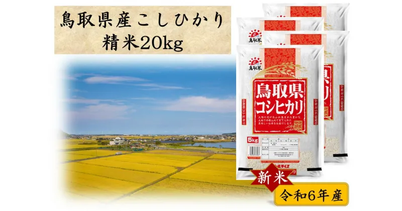 【ふるさと納税】鳥取県産こしひかり◇精米20kg◇令和6年産