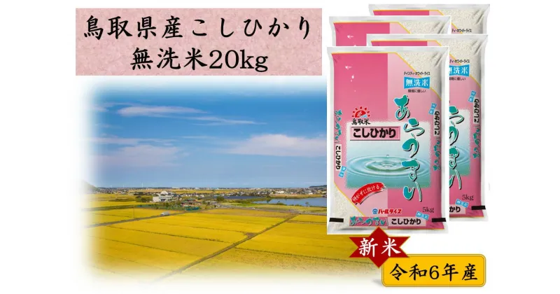 【ふるさと納税】鳥取県産こしひかり◇無洗米20kg◇令和6年産