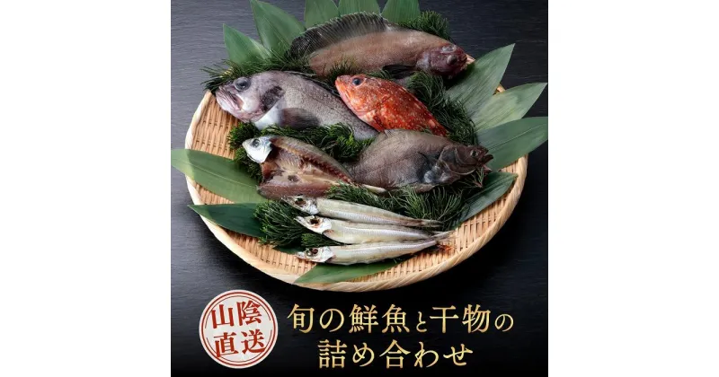 【ふるさと納税】山陰直送 旬の鮮魚と干物の詰め合わせ　※北海道、沖縄、一部離島への配送不可