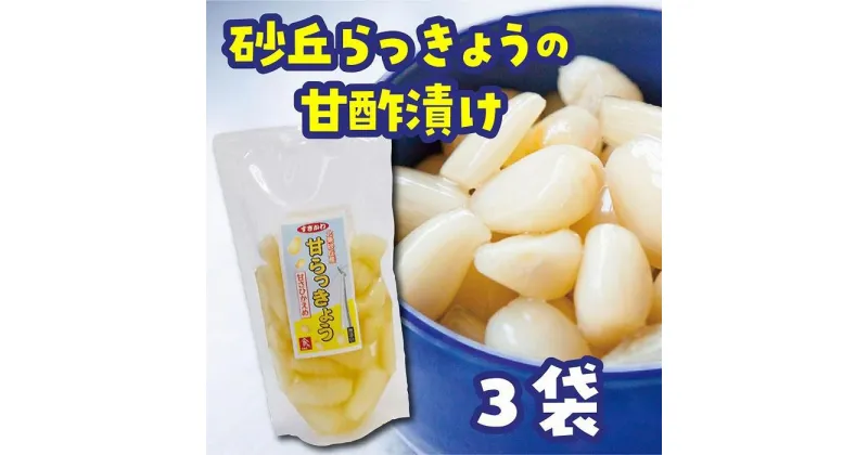 【ふるさと納税】砂丘らっきょう 甘酢漬 200g 3袋入り | 食品 発酵 加工食品 人気 おすすめ 送料無料