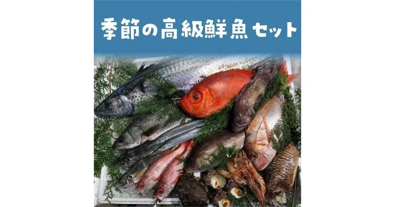 【ふるさと納税】【定期便】旬の高級鮮魚セット 年4回　※北海道、沖縄、一部離島への配送不可 | 魚 お魚 さかな 食品 人気 おすすめ 送料無料