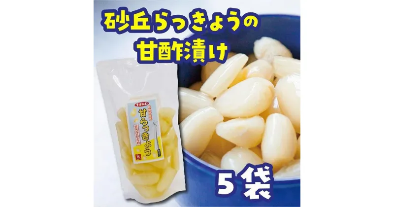 【ふるさと納税】砂丘らっきょう 甘酢漬 200g 5袋入り | 食品 発酵 加工食品 人気 おすすめ 送料無料