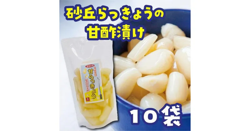 【ふるさと納税】砂丘らっきょう 甘酢漬 200g10袋入り | 食品 発酵 加工食品 人気 おすすめ 送料無料