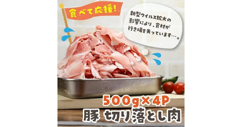 【ふるさと納税】国産豚 切り落とし 2kg（500g×4P） | 肉 お肉 にく 食品 鳥取県産 人気 おすすめ 送料無料 ギフト