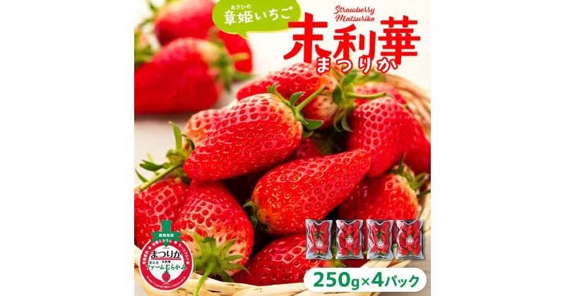 【ふるさと納税】【先行予約】章姫(あきひめ)いちご 4P(250g×4) 「末利華(まつりか)」 | フルーツ 果物 くだもの 食品 人気 おすすめ 送料無料