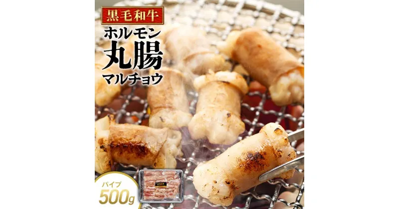 【ふるさと納税】牛肉 黒毛和牛 ホルモン 丸腸(マルチョウ) 500g | 肉 お肉 にく 食品 鳥取県産 人気 おすすめ 送料無料 ギフト