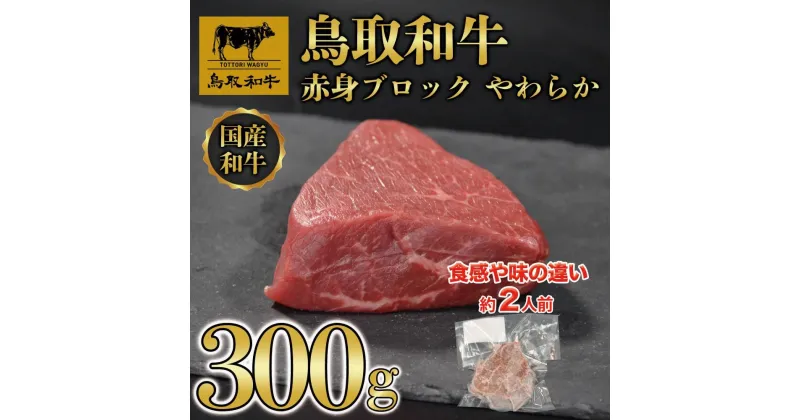 【ふるさと納税】鳥取和牛 赤身肉 ブロック やわらか 300g KT010-023 | 肉 お肉 にく 食品 鳥取県産 人気 おすすめ 送料無料 ギフト